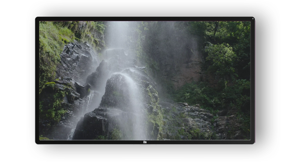 Display your content