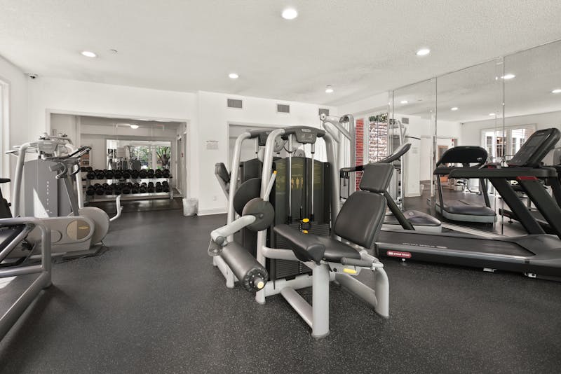 Modern gym interior with equipment